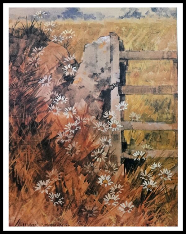 BH 34 Ox Eyed Daisies